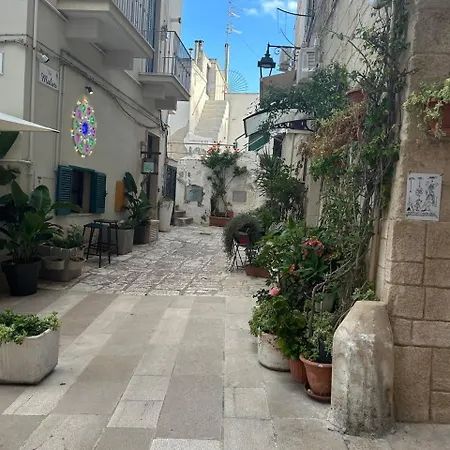 شقة Amavi مونوبولي