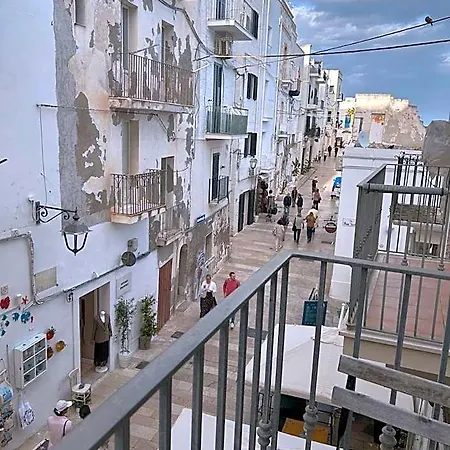 Amavi