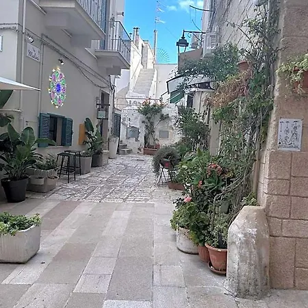 Apartamento Amavi
